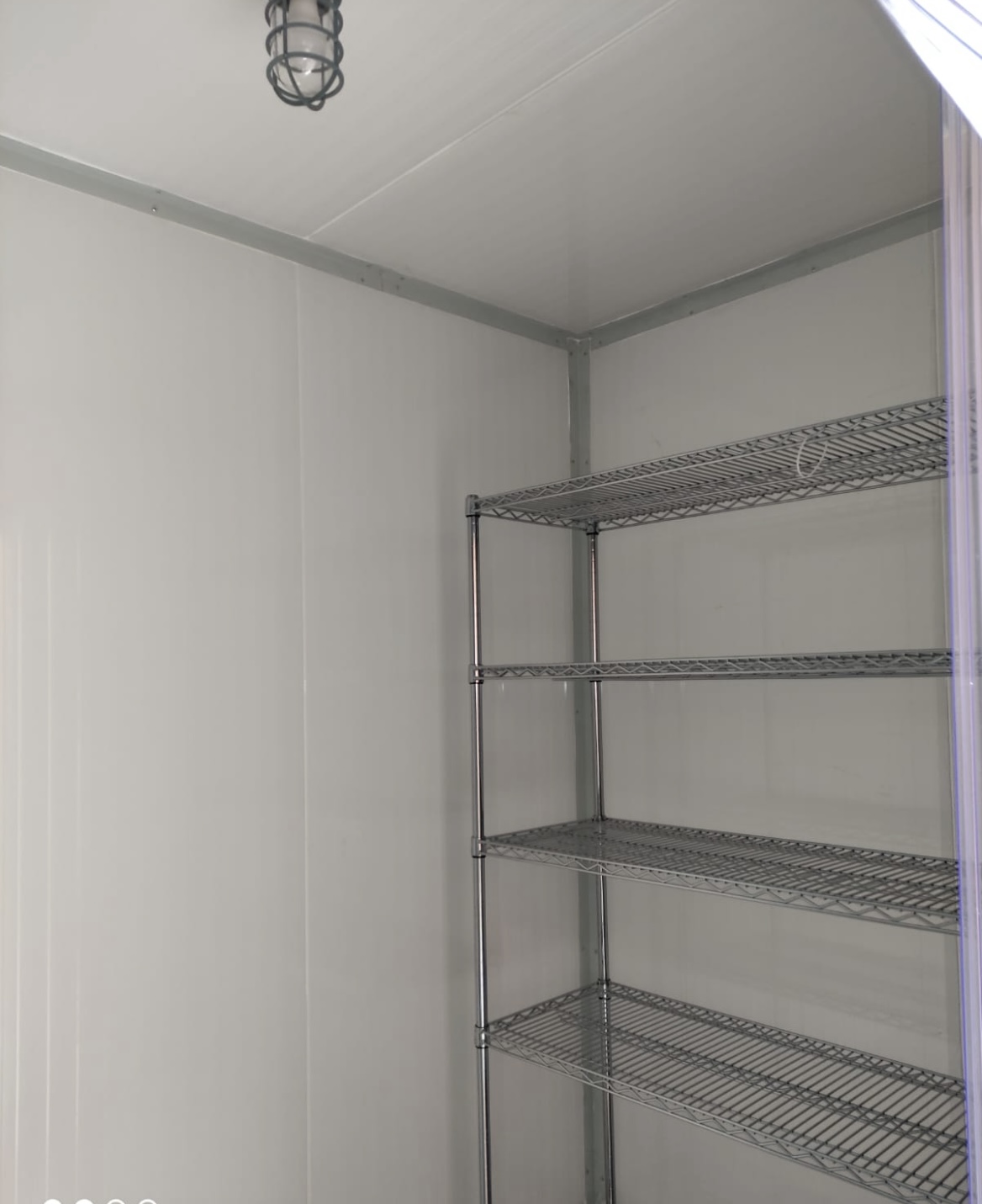 Cuarto frío para carnes 3