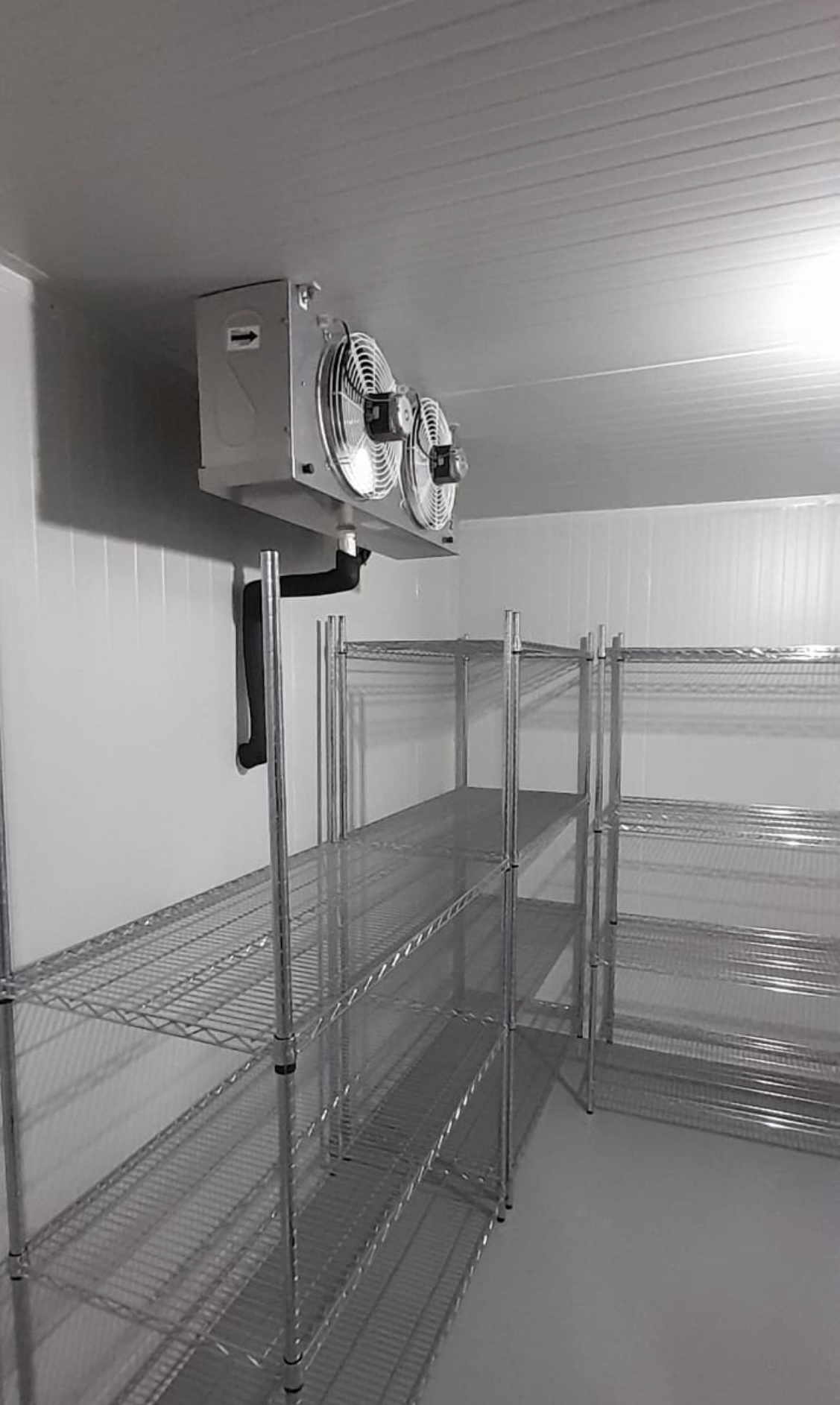 Cuarto frío estándar 2